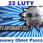 22 luty Masowy oblot pszczół Wideo z Pasieki Apismart WideoBlog relacje z Pasieki