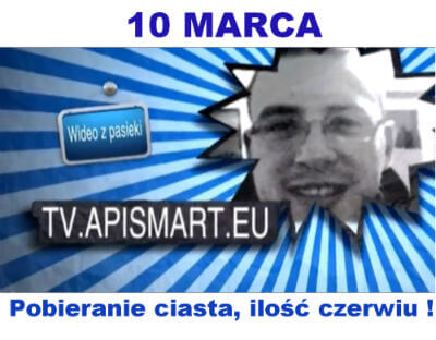 wodeo blog z pasieki